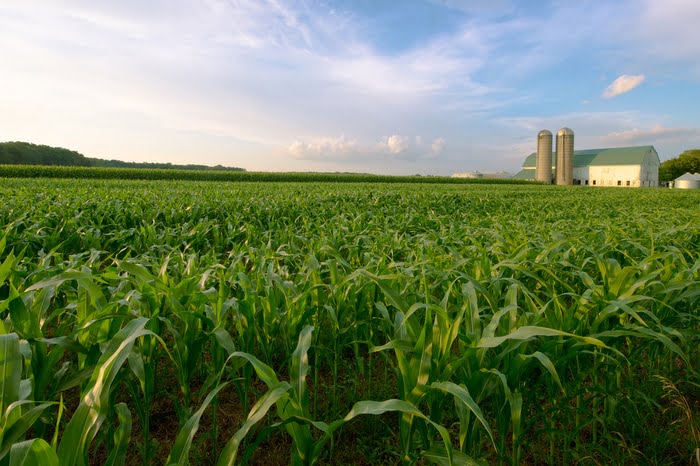 Agricultural Property Taxes